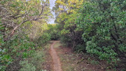 Montpezat_24_01-59