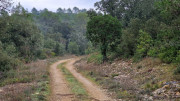 Montpezat_24_01-6