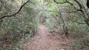 Montpezat_24_01-60