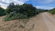 Montpezat_24_01-61