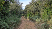 Montpezat_24_01-63