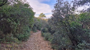 Montpezat_24_01-64