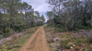 Montpezat_24_01-7