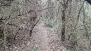 Montpezat_24_01-74
