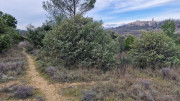 Montpezat_24_01-78