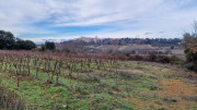 Montpezat_24_01-79