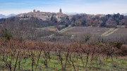 Montpezat_24_01-80