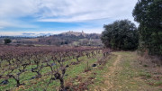 Montpezat_24_01-81