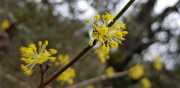 MONTOULIEU_20_03-22