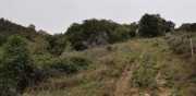 MONTOULIEU_20_03-24