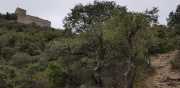 MONTOULIEU_20_03-25