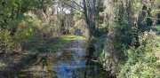 MONTOULIEU_20_11-2