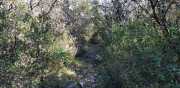 MONTOULIEU_20_11-22