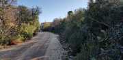 MONTOULIEU_20_11-5