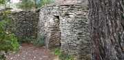 Nages1_2020-12