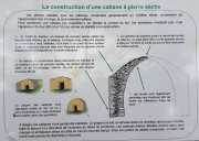 Nages1_2020-13