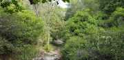 Nages1_2020-30