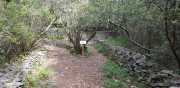 Nages1_2020-32