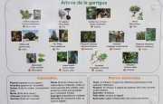 Nages1_2020-35