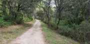 Nages1_2020-36