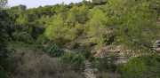 Nages1_2020-6