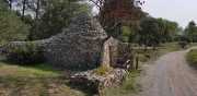 Nages3_2020-7