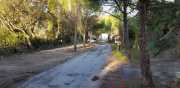 Prime_Combe_20_12-1