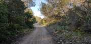 Prime_Combe_20_12-2