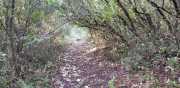 Prime_Combe_20_12-22