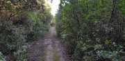 Prime_Combe_20_12-25