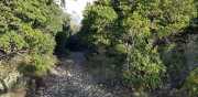 Prime_Combe_20_12-29