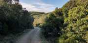 Prime_Combe_20_12-3