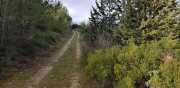 Prime_Combe_20_12-34