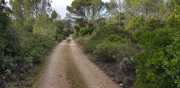 Prime_Combe_20_12-39