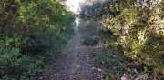 Prime_Combe_20_12-4