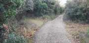 Prime_Combe_20_12-5