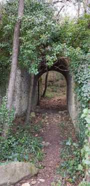 Prime_Combe_20_12-53