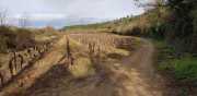 Prime_Combe_20_12-54