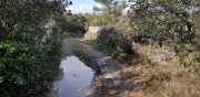Prime_Combe_20_12-55