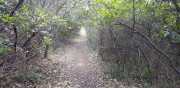 Prime_Combe_20_12-6