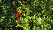 Prime_Combe_24_10-18