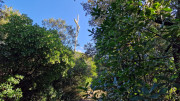 Prime_Combe_24_10-69