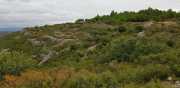 NEBIAN_2020-11