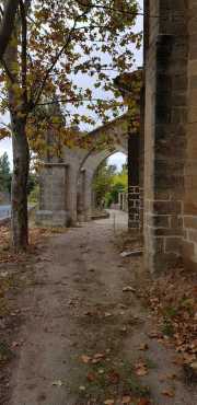 NEBIAN_2020-14