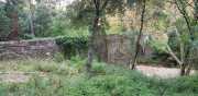 NEBIAN_2020-24
