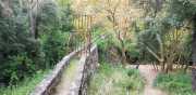 NEBIAN_2020-25