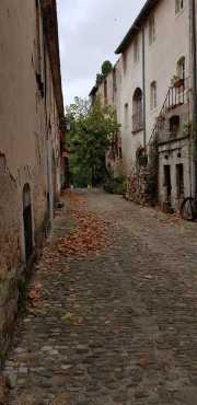 NEBIAN_2020-28