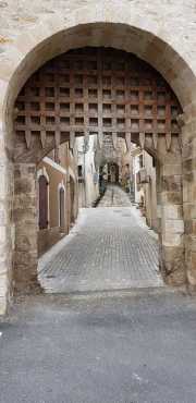NEBIAN_2020-3