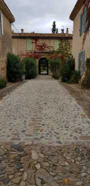 NEBIAN_2020-32