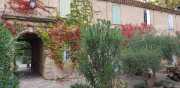 NEBIAN_2020-33
